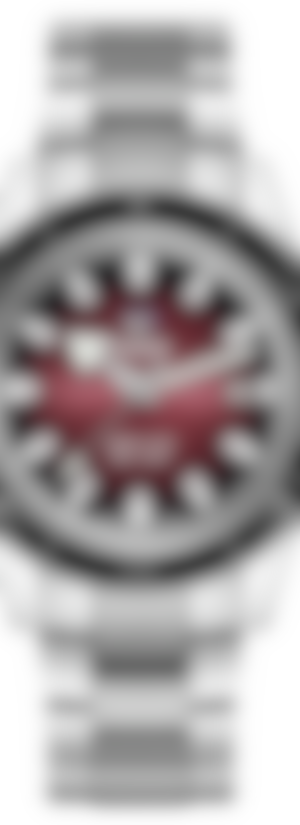 Captain Cook Automatic